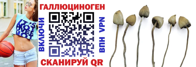 где можно купить наркотик  Белогорск  Псилоцибиновые грибы Magic Shrooms 